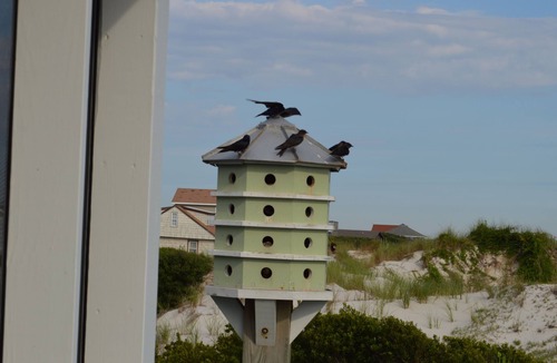 Cedar Island House | Ferry View-Beachfront Property on Pamlico Sound