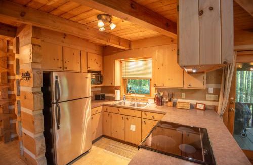 Fleetwood House | Fleetwood Falls Cabin near Boone- Community River & Lake Access, Dogs OK
