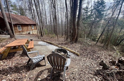 Traphill Cabin | Forest Cabin Moments from Stone Mountain