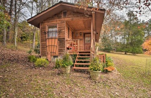 Murphy House | Forest Fantasy Pet-Friendly Smoky Mtn Escape!