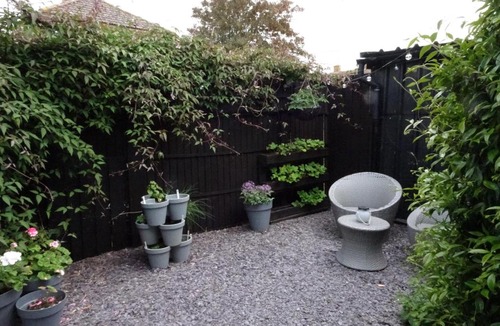 Williton Apartment | Garden Studio