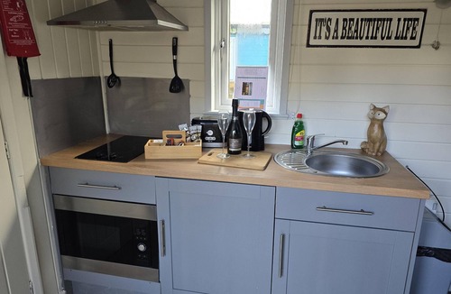 Llanfair Caereinion Cabin | Glamping Hut - Riverside 1