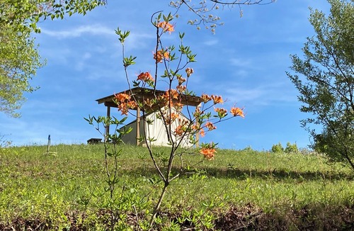 Marble RV Rental | Glamping Tent. Pet friendly. Mountain Views.