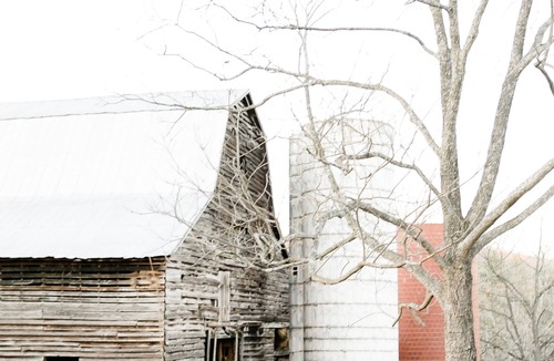 Casar House | Historic 1880 Farmhouse with Modern Southern Charm
