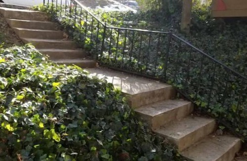 Grove Park- Sunset Apartment | Historic Grove Park Rental - Apt #2