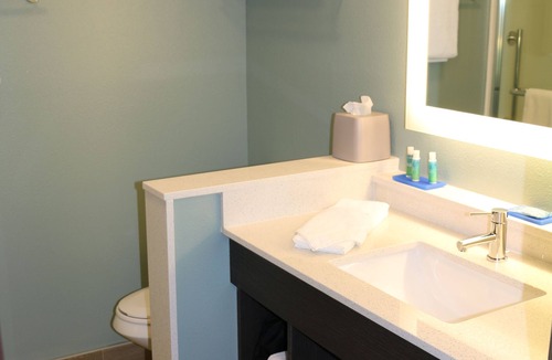 Flat Rock Hotel | Holiday Inn Express & Suites Hendersonville SE - Flat Rock by IHG