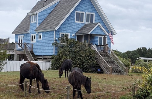 Carova Beach House | Horse Haven - Carova 4x4 Beach - Canal/Water Front - Pool & HotTub - Private Lot