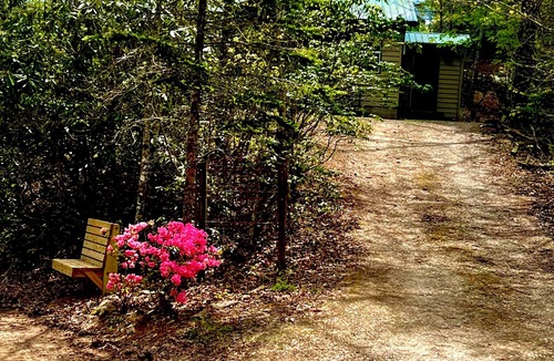Almond Cabin | Hot Tub, Near Bryson City, Fontana Lake, Pets Ok, Gated Deck and Community lake