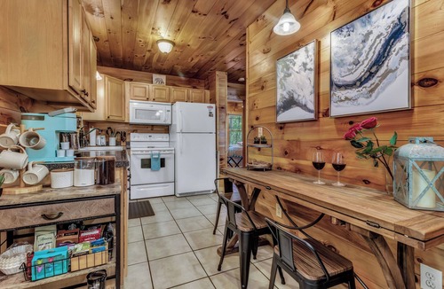 Skyland Cabin | Hot Tub Yard Biltmore Blue Ridge Cabin Dogs ok Fireplace Winter Views