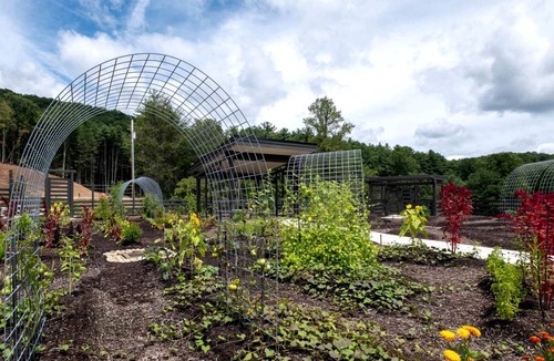 Balsam Grove House | House ∙ 1 bedroom ∙ 4 guests