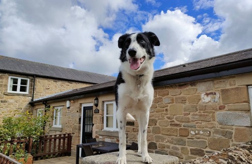 Cramlington House | Jacobswell House – Dog‑Friendly 3‑Bedroom Cottage with Field Views & Cycle Storage