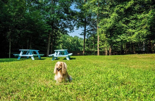 Jamestown House | Jamestown Retreat with Hot Tub & More