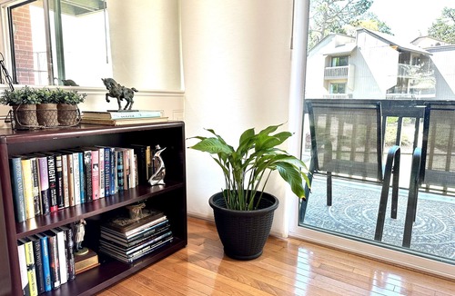 Pinehurst Condo | Jewel by the lake! Water + pool views, stylish 3BR