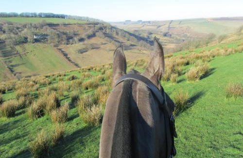 Withypool Bed & Breakfast | Kings Farm