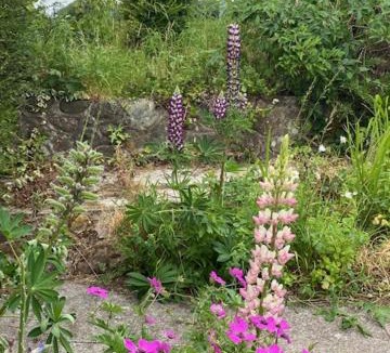 Bootle House | lake District cottage