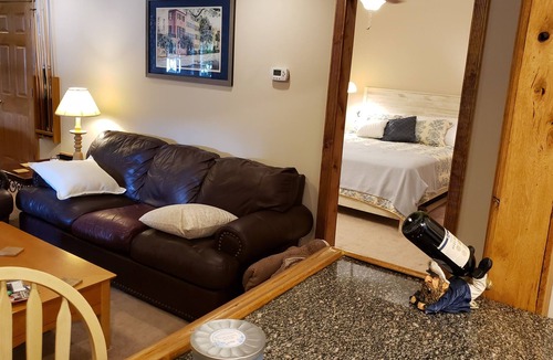 Dixie - Berryhill Apartment | Lake Wylie waterfront apartment with dock.