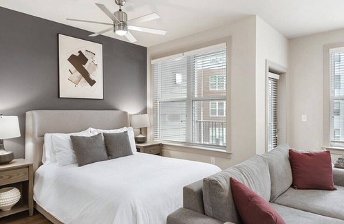 Plaza Midwood Apartment | Landing at One305 Central - Studio in Plaza Midwood