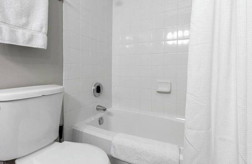 Charlotte Apartment | Landing at The Arboretum - 1 Bedroom in Oxford Hunt