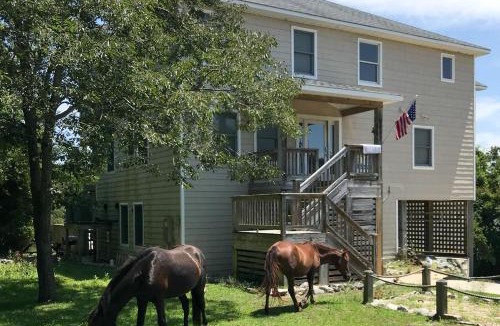Carova Beach House | Leap of Faith - 4x4 Carova Beach, Canalfront, Private Dock, Pool, Hot Tub, Flex Stays