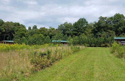 Spruce Pine Cabin | Little Switzerland Cabin For Romance And Soul Shine!