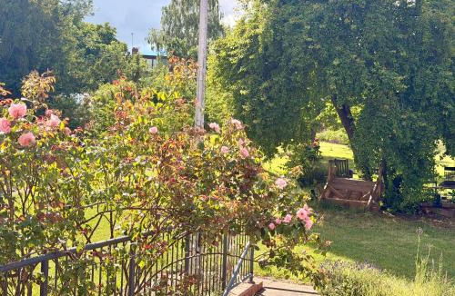 Northampton Bed & Breakfast | Living light