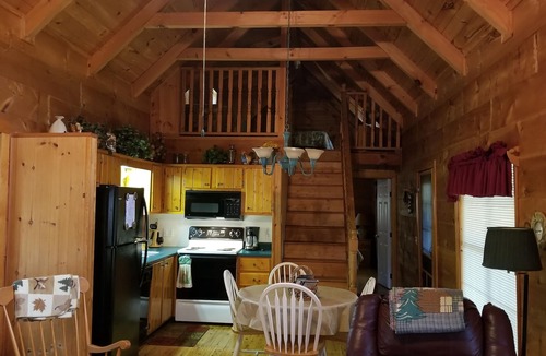 Cedar Mountain Cabin | Log Cabin, Trout Pond on 17 Acres, Near Dupont State Forest, very private