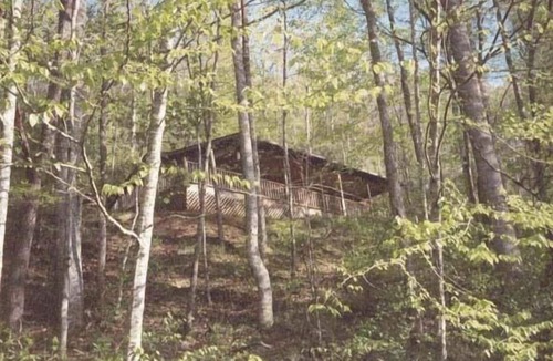 Whittier Cabin | Log Cabin w/Hot Tub near Casino, Cherokee & Bryson City