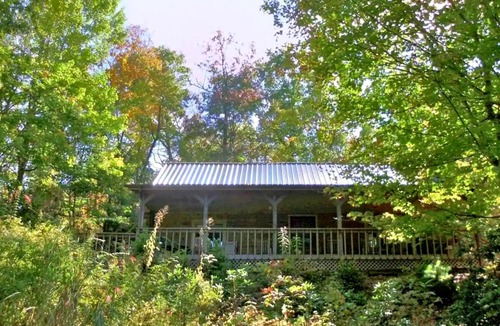 Canton Cabin | Log Home near Beautiful Lake Logan