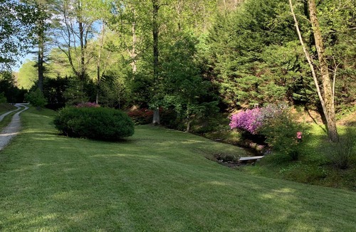 Brevard Cabin | Luxury Cabin Overlooking Large Trout Pond on Former Summer Camp. Come & Play
