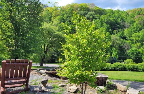 Maggie Valley Cabin | ~*~ Maggie Valley Chalet *10 min from Ski Resort *5 min from BlueRidge Parkway