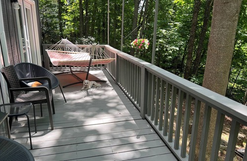 Mount Airy House | 🏚️ Mayberry’s Serenity Villa. IfIT Bike, Hammock, Massage Table, Firepit