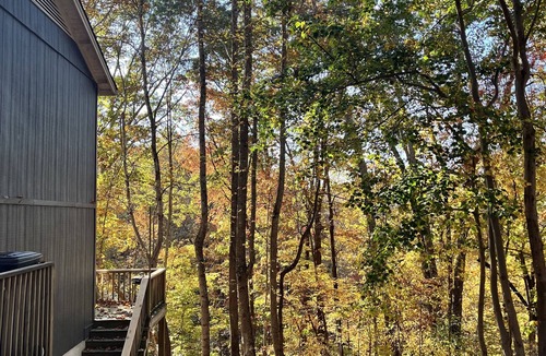 Mount Airy House | 🏚️ Mayberry’s Serenity Villa. IfIT Bike, Hammock, Massage Table, Firepit