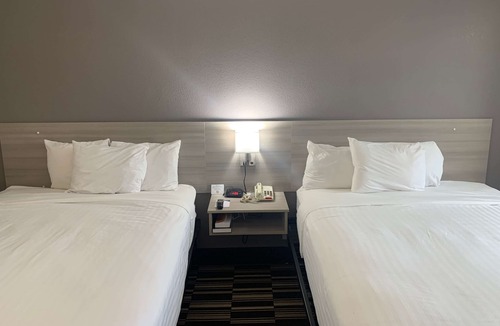 Toddville Road Hotel | Microtel Inn by Wyndham Charlotte Airport