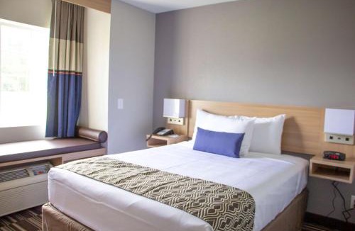 Jacksonville Hotel | Microtel Inn & Suites by Wyndham Camp Lejeune/Jacksonville