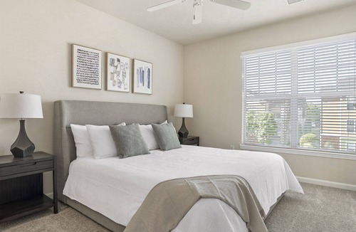 Mint Hill Apartment | Modern Apartment in Prime Location (ID8995X37)