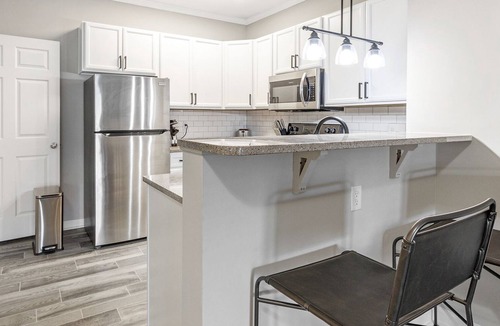 Wake Forest Apartment | Modern Apartment in Prime Location (ID7327X28)
