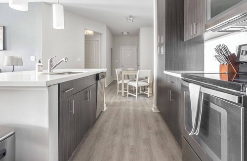Wake Forest Apartment | Modern Apartment in Prime Location (ID1210X718)