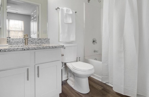 Holly Springs Apartment | Modern Apartment in Prime Location (ID8183X77)