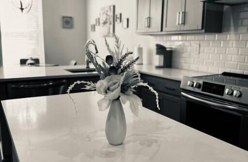 Charlotte House | Modern LoSo Retreat|Walk to Breweries & Light Rail