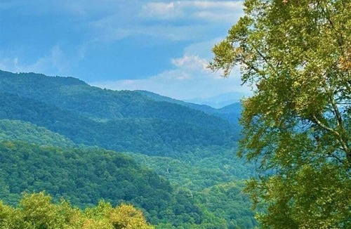Asheville Cabin | Mountain cabin with 3 bedrooms, 2 baths, fire pit, porch swing.