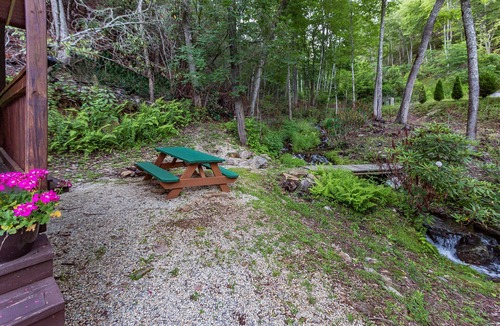 Topton Cabin | Mountain serenity close to hiking, rafting, fishing and kayaking. "Coyote Song"