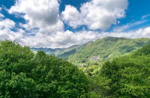 Maggie Valley House | Mountain View 3BR with Sunroom, Close to Ski and Trails