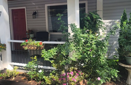 Asheville House | MOUNTAIN VISTA GETAWAY!