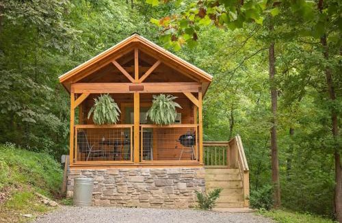 Lookout Valley Neighborhood Association House | Nana Cabin Tiny Log Home Comfort In Rustic Bliss