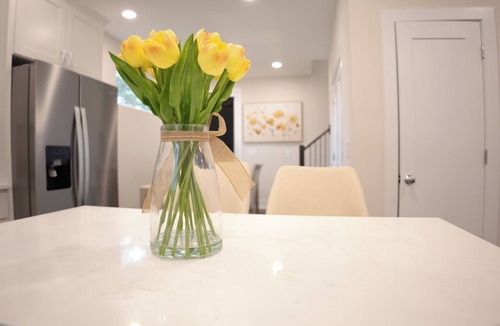 Hayes House | New Build: Blue Rooftop& Patio min's from Downtown, Duke, NCCU, Hospital,