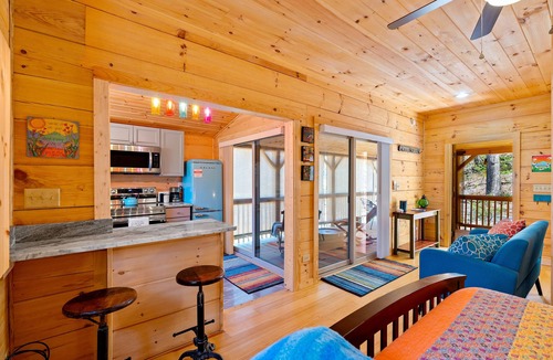 Swannanoa Cabin | NEW Cabin 15 min to Asheville with Blue Mountain Views!