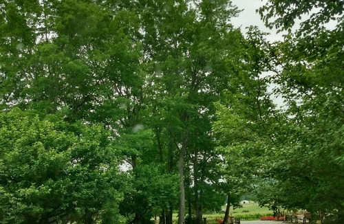 Ronda Cabin | NEW LISTING! Cleo's Village Tiny Home by RedAwning