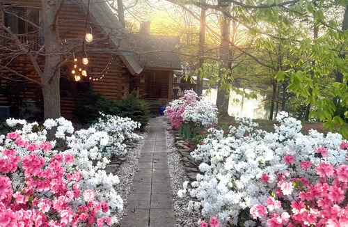 Lake Norman of Catawba Cabin | New Listing! Lakefront Cabin | Lake Norman | Sleeps 10 | Large Deck | Kayaks!