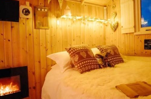 Christchurch Apartment | Nirvana Glamping