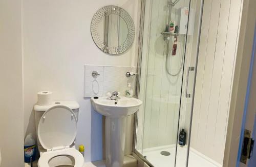 Fenham House | Numero Uno Detached Aparthouse 7 BR Hot Tub Wifi Parking Contractors and Group Friendly
